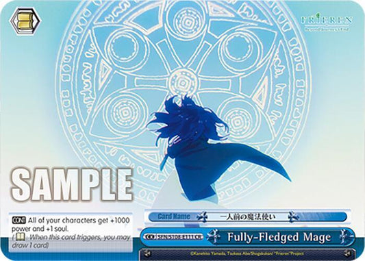 Fully-Fledged Mage