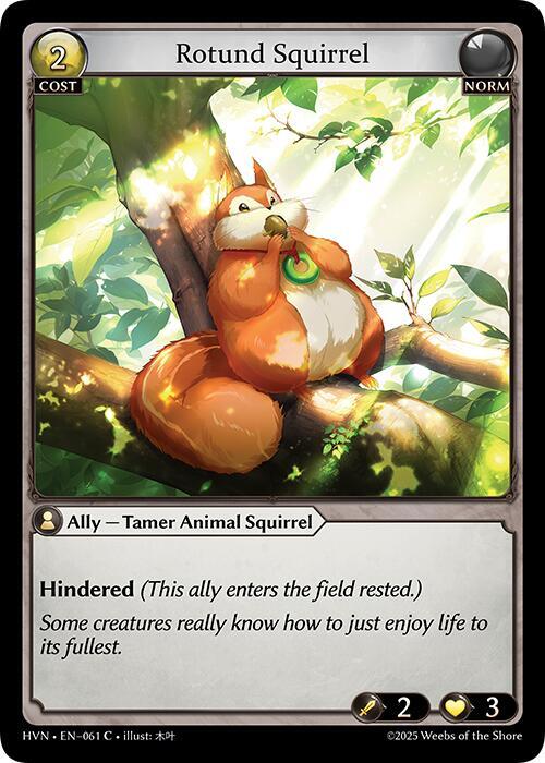 Rotund Squirrel(HVM)