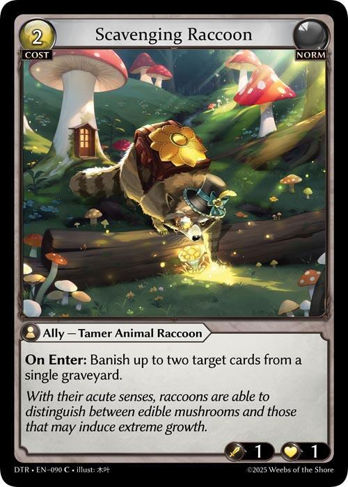Scavenging Racoon(DTR)